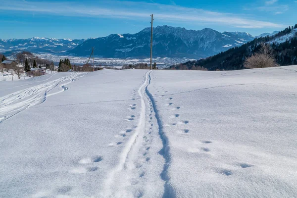 Invierno suizo - Pistas en nieve — Foto de Stock