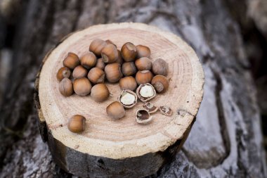 Bütün ve Fındıkkıran ile kıyılmış kahverengi fındık