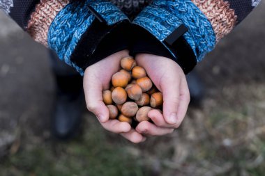 çocuk elinde fındık