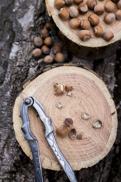 Noisettes brunes entières et hachées avec Casse-noisette — Photo