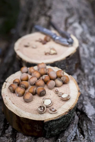 Nocciole marroni intere e tritate con Schiaccianoci — Foto Stock