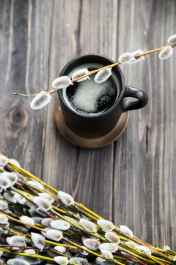 Willow dal ve kahve. Bahar sembolü