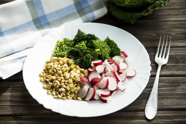 rawfoodist vegan salad joviality of cabbage, radish sprouts and lentils on a white plate clipart