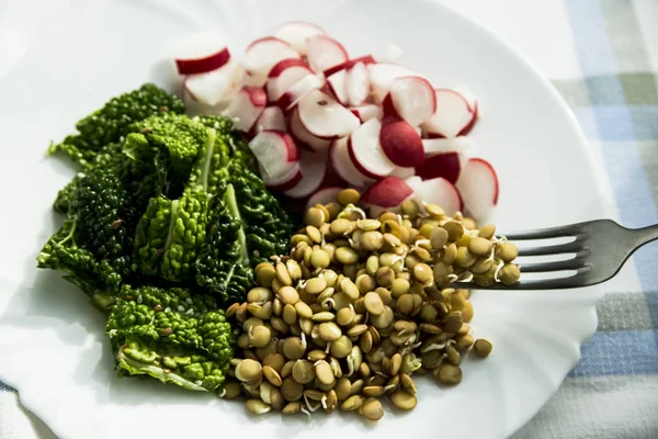 Rawfoodist vegan salade vrolijkheid van kool, radijs spruiten en linzen op een witte plaat — Stockfoto