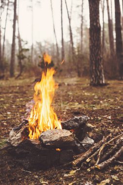 Ormanda kamp ateşi. adamın elleri