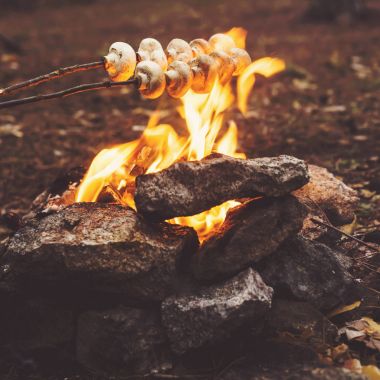 Ormanda kamp ateşi. adamın elleri