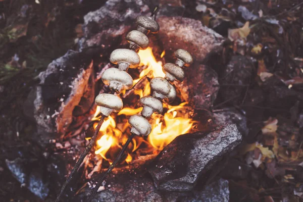 Feu de camp dans la forêt. les mains de l'homme — Photo