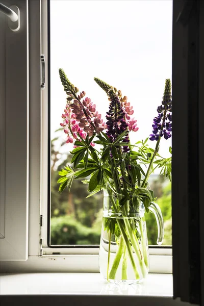 Розовые, синие и фиолетовые цветы люпина в квартире для украшения — стоковое фото