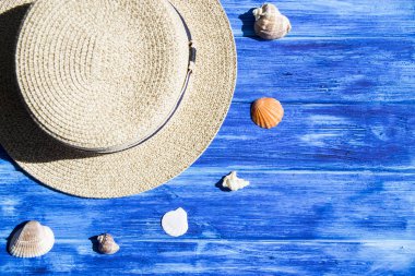 Deniz kabuklarını deniz ve tatil konseptiyle