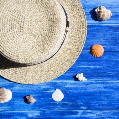Deniz kabuklarını deniz ve tatil konseptiyle