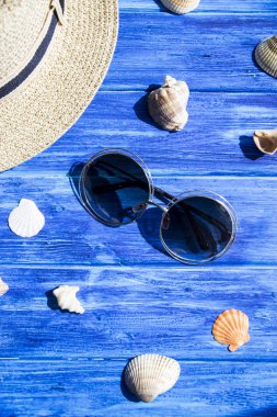 Deniz kabuklarını deniz ve tatil konseptiyle