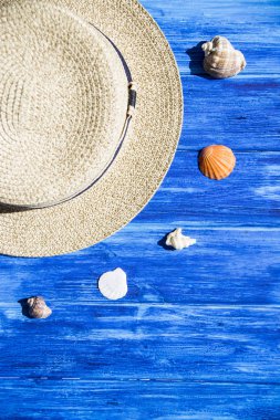 Deniz kabuklarını deniz ve tatil konseptiyle