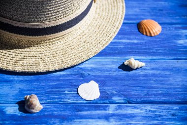 Deniz kabuklarını deniz ve tatil konseptiyle