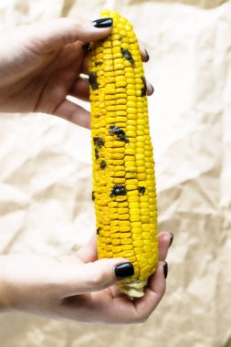 Yaz vejetaryen tabağı, ızgara veya fırında pişmiş