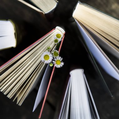 Kavram öğrenme veya yazma okuma