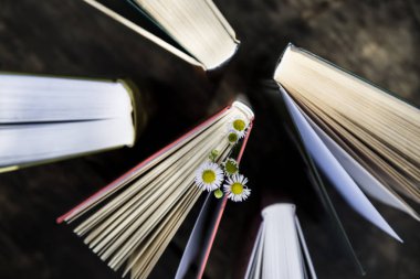 Kavram öğrenme veya yazma okuma