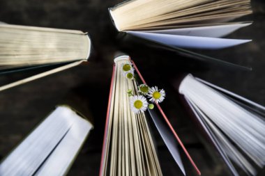 Kavram öğrenme veya yazma okuma