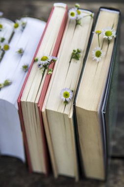 Kırsal yaz natürmort ağaçları arasında açık havada