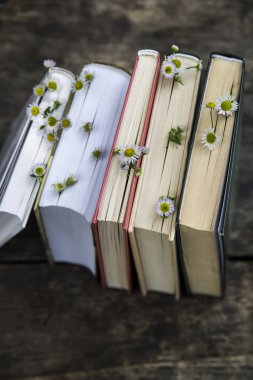 Kırsal yaz natürmort ağaçları arasında açık havada