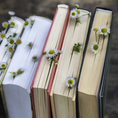 Kırsal yaz natürmort ağaçları arasında açık havada