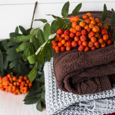 Sonbahar ruh hali ve soğuk sezon için giyim