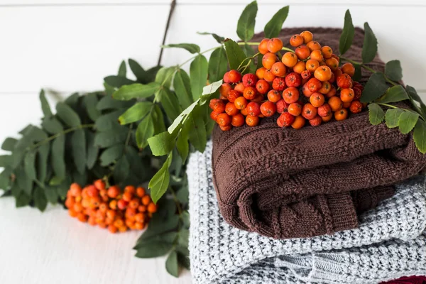 Sonbahar ruh hali ve soğuk sezon için giyim