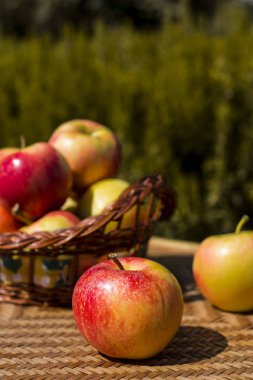 sonbaharın Kırmızı elma hasat. sağlıklı gıda ve vitamin