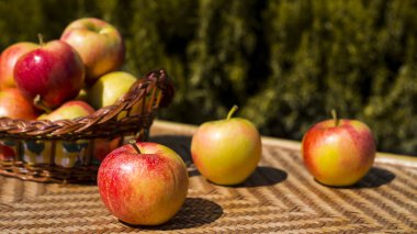 sonbaharın Kırmızı elma hasat. sağlıklı gıda ve vitamin