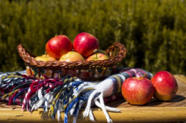 sonbaharın Kırmızı elma hasat. sağlıklı gıda ve vitamin