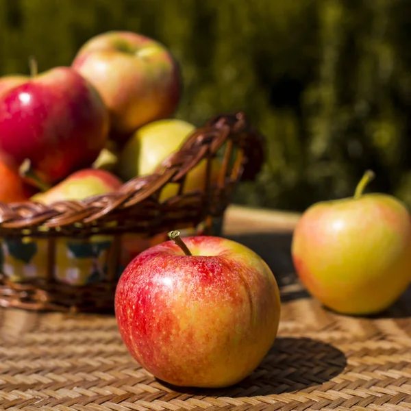 Skörd av röda äpplen på hösten. hälsosam mat och vitaminer — Stockfoto