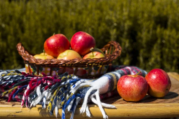 sonbaharın Kırmızı elma hasat. sağlıklı gıda ve vitamin