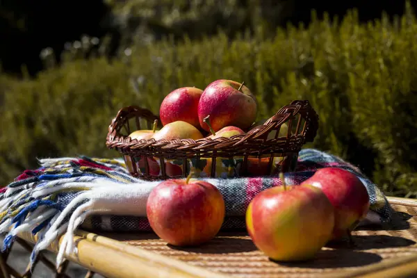 sonbaharın Kırmızı elma hasat. sağlıklı gıda ve vitamin