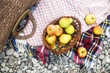 çakıl taşları üzerinde parlak yatak örtüsü üzerinde elma. sonbahar piknik kavramı