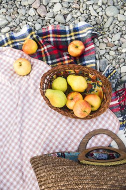çakıl taşları üzerinde parlak yatak örtüsü üzerinde elma. sonbahar piknik kavramı