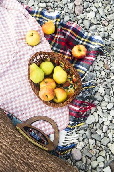 çakıl taşları üzerinde parlak yatak örtüsü üzerinde elma. sonbahar piknik kavramı