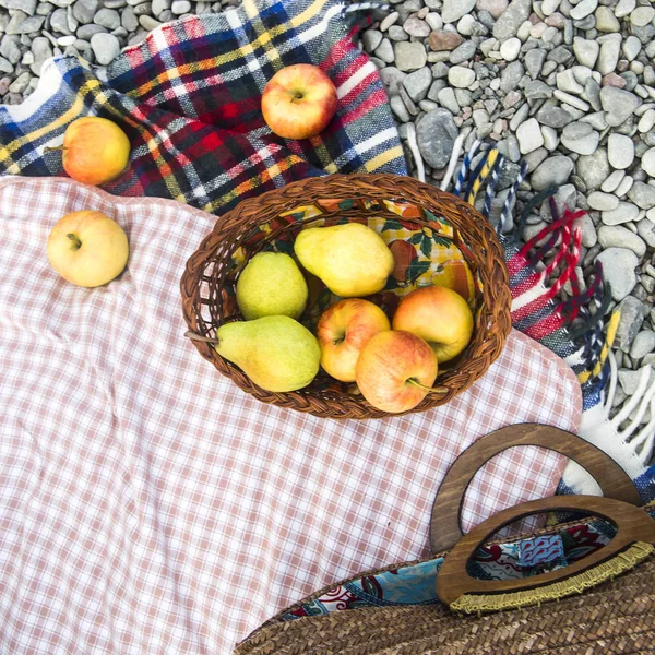 çakıl taşları üzerinde parlak yatak örtüsü üzerinde elma. sonbahar piknik kavramı