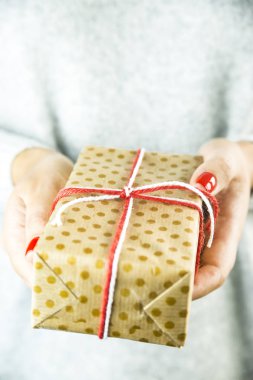 Noel kavramı - tatil özniteliklerini tutan kadın