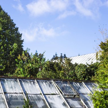 bitki botanik bahçesi içinde büyüyen bir sera