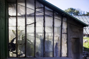 bitki botanik bahçesi içinde büyüyen bir sera