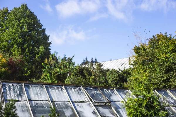 bitki botanik bahçesi içinde büyüyen bir sera