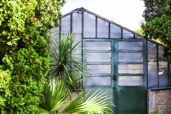Un invernadero para el cultivo de plantas en un jardín botánico — Foto de Stock