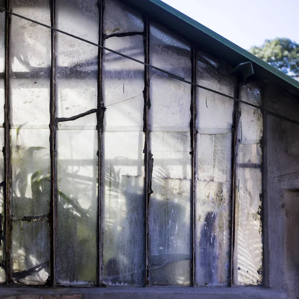 bitki botanik bahçesi içinde büyüyen bir sera