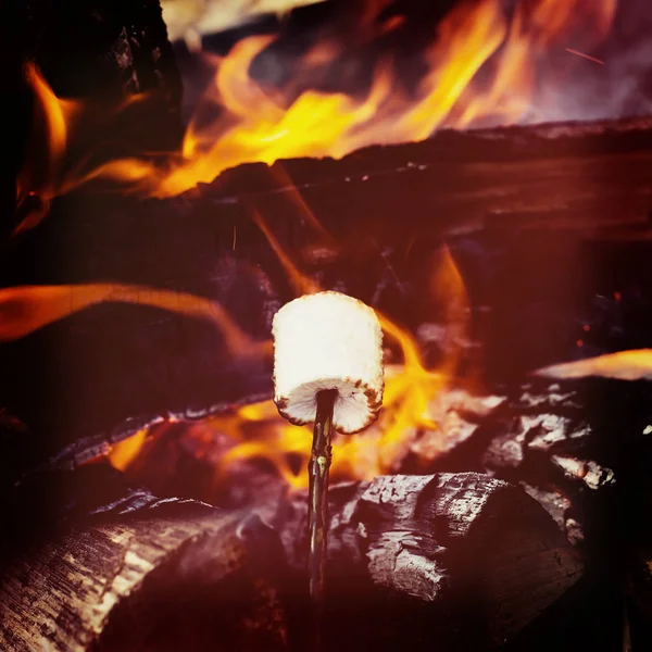 Marshmallow em paus fritam no fogo — Fotografia de Stock