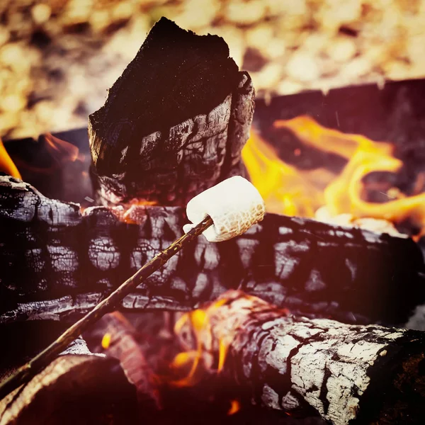 Marshmallow em paus fritam no fogo — Fotografia de Stock