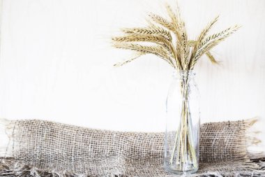 Tarım. Olgun çavdar ve buğday tarladan eve getirdi