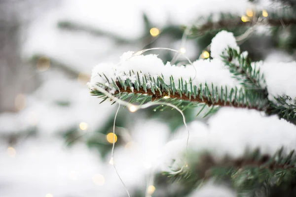 Der Schneebedeckte Baum Wald Ist Mit Lichtern Geschmückt Winterkonzept — Stockfoto