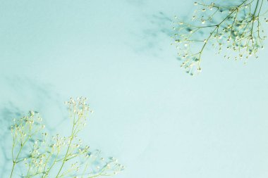 Dal gypsophila köşe ile mavi arka plan. Metin için iş parçası. Copyspase