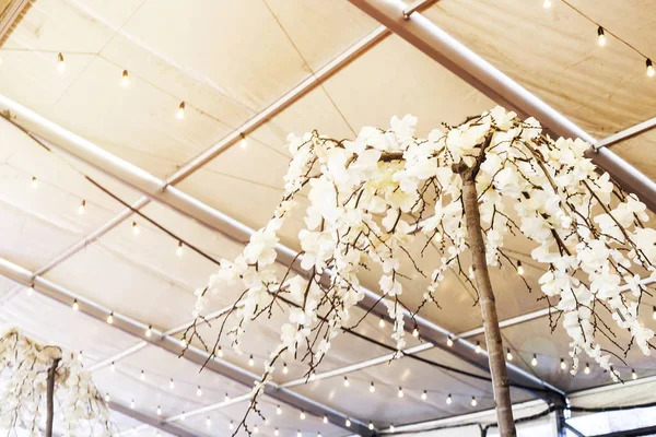 Egy Utcai Fesztivál Fehér Virágzó Hátterében Szilánkok Mennyezet Alatt Füzér — Stock Fotó