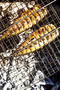 İki mackerels ızgarada pişirme vardır. Yaz Barbekü doğada. Aile dinlenme ve sağlıklı beslenme