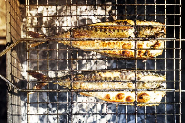 Twee Makrelen Koken Grill Zomer Barbecue Natuur Familie Rust Gezond — Stockfoto